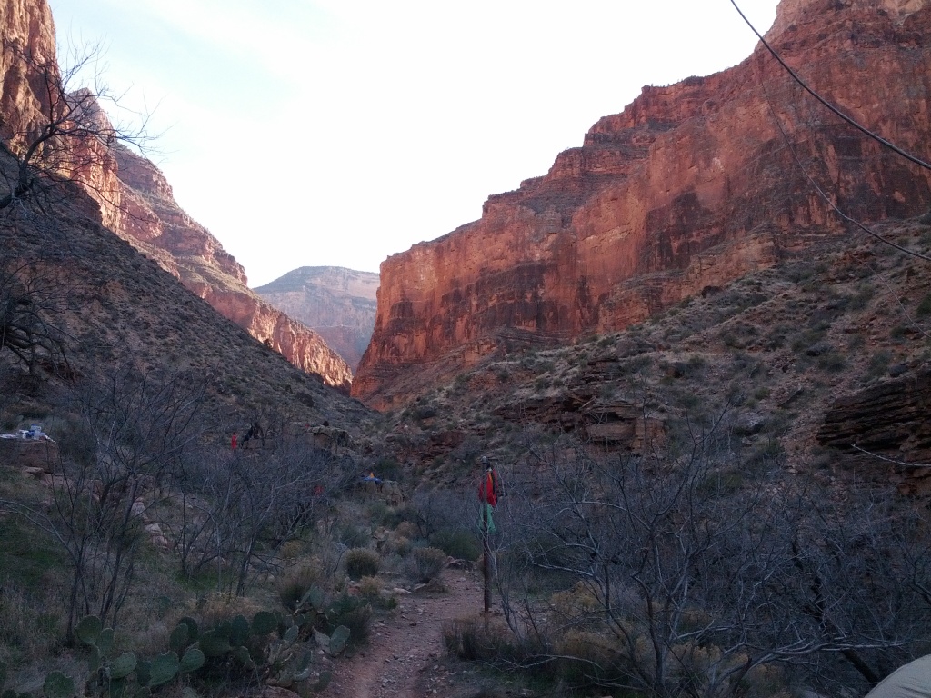 IMG_20130314_161953.jpg
